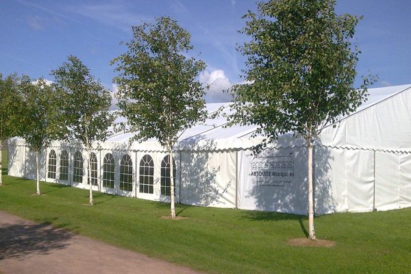 Absolute Marquee Blog post