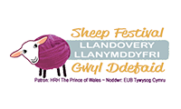 Llandovery Sheep Fest